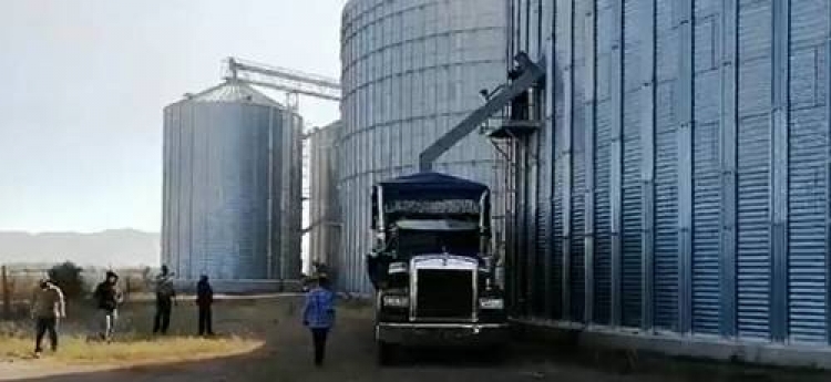 Alertan a comercializadoras para que no compren trigo robado en bodega &ldquo;El Carrizo&rdquo;