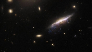 NASA captura a inmensa 'medusa gal&aacute;ctica' que est&aacute; a 800 millones de a&ntilde;os luz de distancia