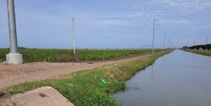 Matan a balazos a una mujer en Navolato; hallan el cad&aacute;ver en el borde de un canal de riego en Villa Benito Ju&aacute;rez