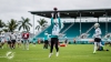 Denver, Miami y Cincinnati por el &uacute;ltimo boleto a postemporada de la AFC