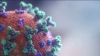 Detectan nueva mutaci&oacute;n del coronavirus que es 10 veces m&aacute;s contagioso