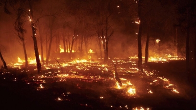 Espa&ntilde;a enfrenta una ola grave de incendios forestales