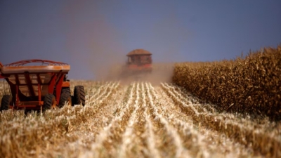 Brasil está por superar a Estados Unidos como mayor exportador de maíz