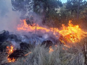 Arde el Pico de Orizaba: un sorprendente incendio ha consumido más de 50 hectáreas en 30 horas