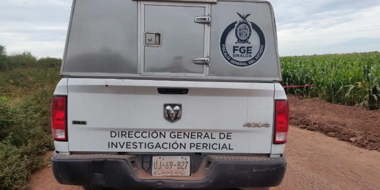 Un hombre de la tercera edad es encontrado asesinado a balazos en Badiraguato
