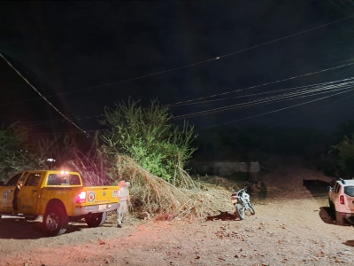 Se extrav&iacute;a una ni&ntilde;a en un cerro y moviliza a las corporaciones de auxilio, en Culiac&aacute;n