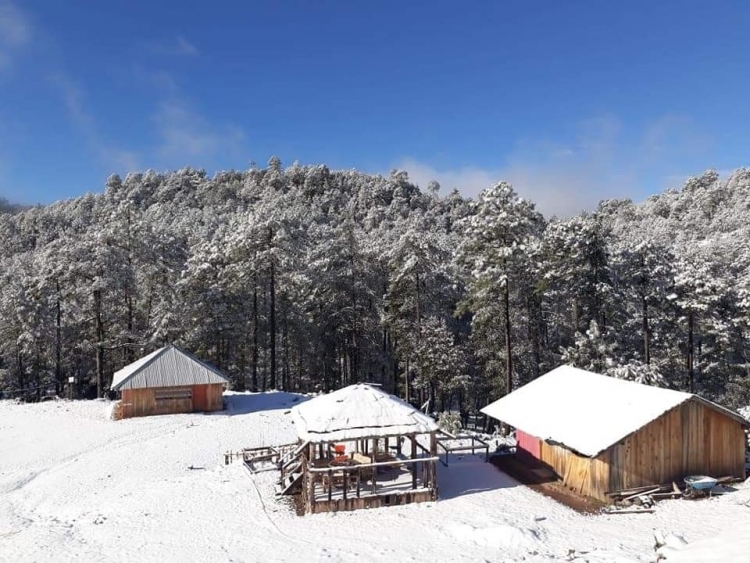 ¡Nieve cubre de blanco Santa Gertrudis, Badiraguato!