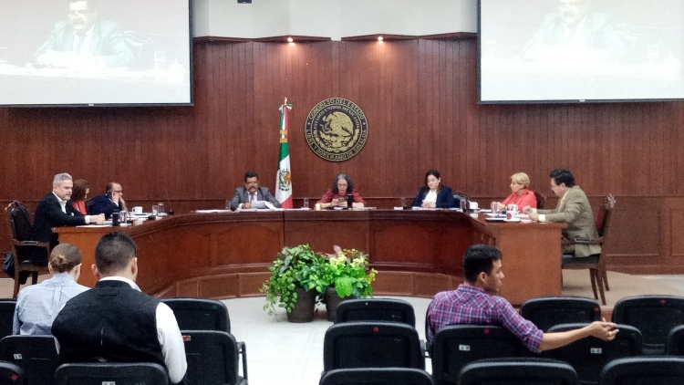 Son viables las reformas a la ley de pensiones: Dom&iacute;nguez Nava