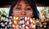La medicina tradicional del Sapo OTAC