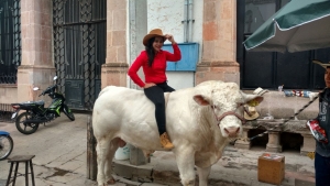 La ganader&iacute;a es una actividad en donde abunda el car&aacute;cter machista: Aurora Samaniego