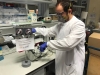 Crean un sistema capaz de detectar el coronavirus en el aire