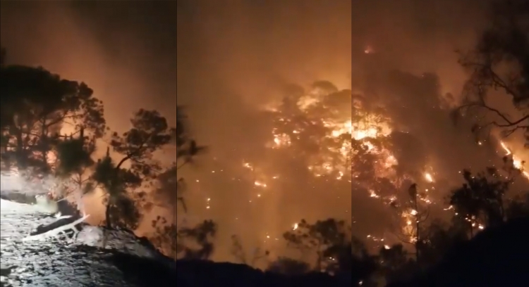Evacúan a familias de Loberas, Concordia por incendio forestal