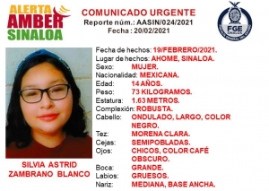 &iexcl;Ayuda a localizar a Silvia Astrid!