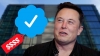 Musk cobrará 8 dólares por la ‘palomita azul’ de cuenta verificada en Twitter