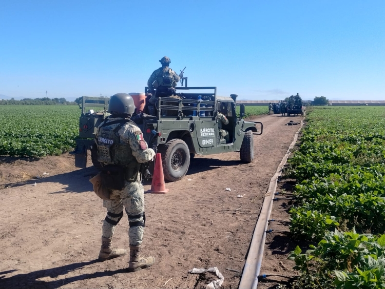 RESUMEN: 8 personas asesinadas y 12 autos robados en Sinaloa, el saldo rojo del 5 de Febrero 2025
