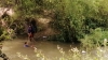 Flota cad&aacute;ver de un hombre en canal de riego de Costa Rica, Culiac&aacute;n