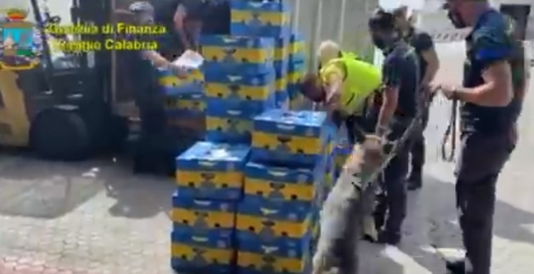 Policía italiana incauta 225 millones de euros en cocaína pura escondida en cargamento de plátanos