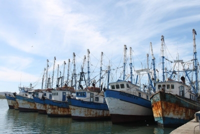 Pinta cr&iacute;tico el panorama de producciones de camar&oacute;n en altamar