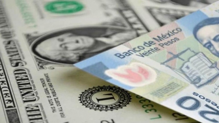 Gana terrero el peso frente al d&oacute;lar en las casas de cambio de la calle Ju&aacute;rez.