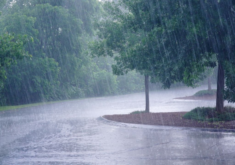 Canal de baja presi&oacute;n dejar&aacute; lluvias en el Sur de Sinaloa