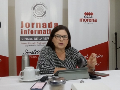 Mafiofarmaceutica detiene buen funcionamiento del insabi: Imelda Castro