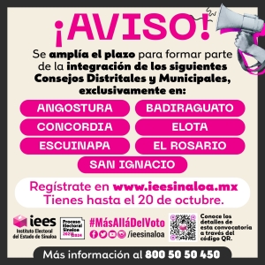 Ampl&iacute;a IEES en 7 municipios convocatoria para integrar consejos distritales y municipales electorales