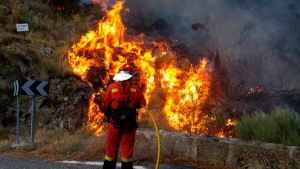 Bomberos enfrentan m&aacute;s de 500 incendios en Italia; alertan riesgo para Espa&ntilde;a y Portugal