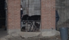 Asesinan a presunto velador en obra de construcci&oacute;n