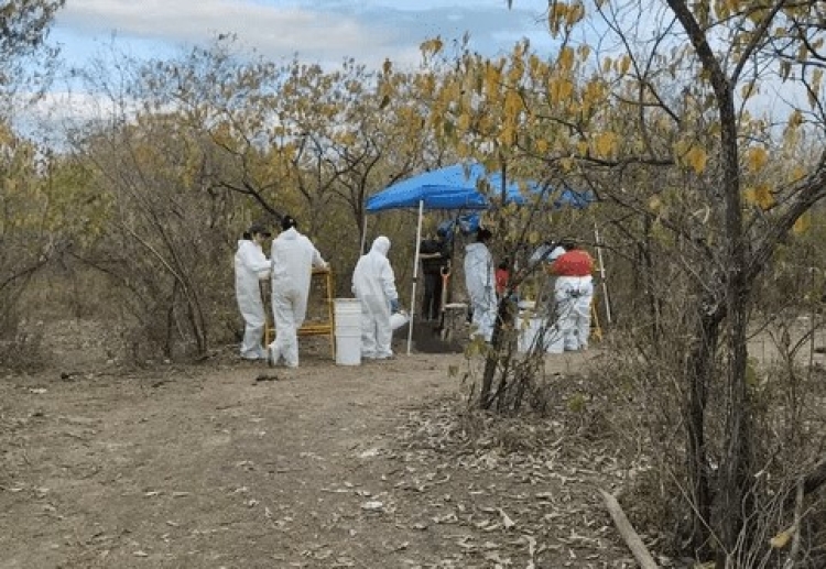 Hallan &#039;campo de exterminio&#039; en San Luis Potosí; criminales disolvían cuerpos y los ponían en fosas