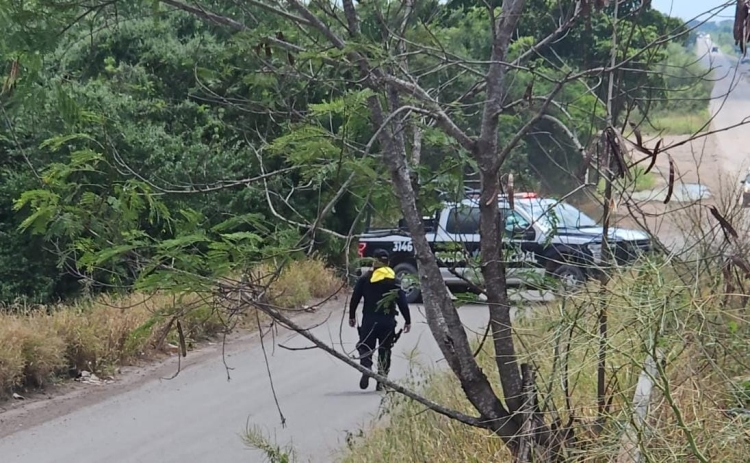 Hombre de la tercera edad es localizado sin vida en Buenos Aires, en San Pedro, Navolato