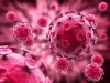 El virus del papiloma humano sigue siendo una de las principales causas del c&aacute;ncer c&eacute;rvico uterino