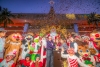 Gobernador Rocha Moya encabez&oacute; el encendido del monumental &aacute;rbol de Navidad en Palacio de Gobierno
