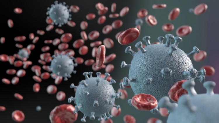 Estudio de EU revela que la luz solar podr&iacute;a matar r&aacute;pidamente al coronavirus