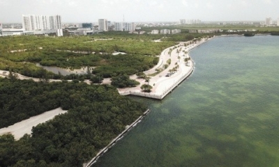 La organizaci&oacute;n Derecho a un Medio Ambiente Sano reporta graves condiciones de contaminaci&oacute;n del agua en Canc&uacute;n