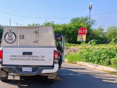 Un cocodrilo mat&oacute; a un adulto mayor en el municipio de Eldorado