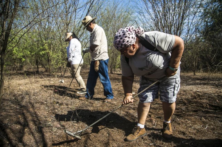Sinaloa entre los 5 estados, que concentran el 52.6% de los desaparecidos en el pa&iacute;s
